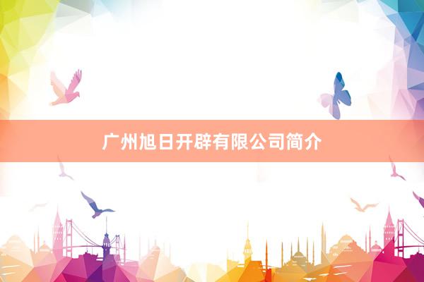广州旭日开辟有限公司简介