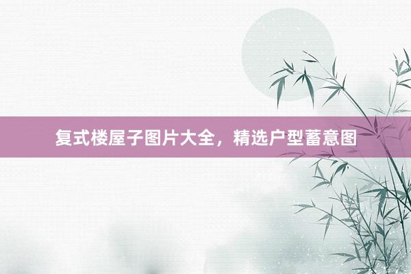 复式楼屋子图片大全，精选户型蓄意图