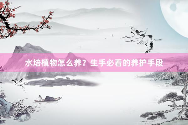 水培植物怎么养？生手必看的养护手段